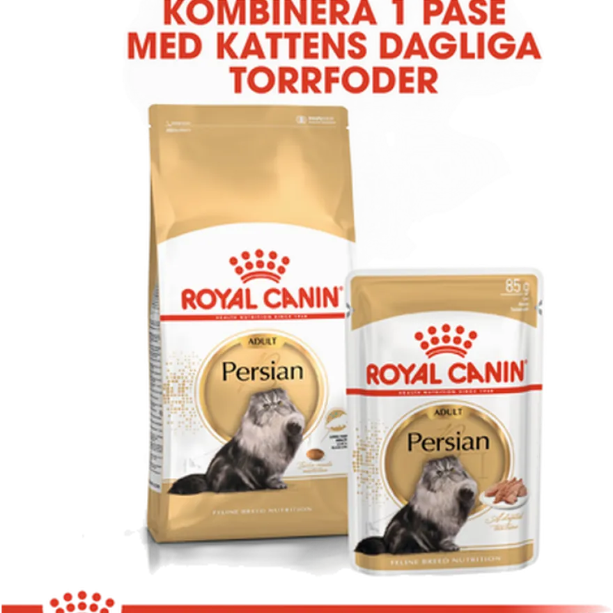 Katterase Perser 4 kg