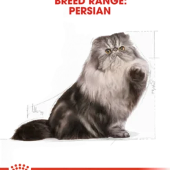 Katterase Perser 4 kg