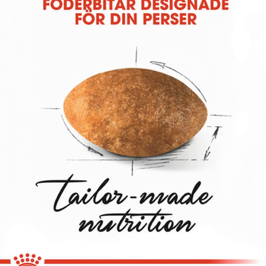 Katterase Perser 4 kg