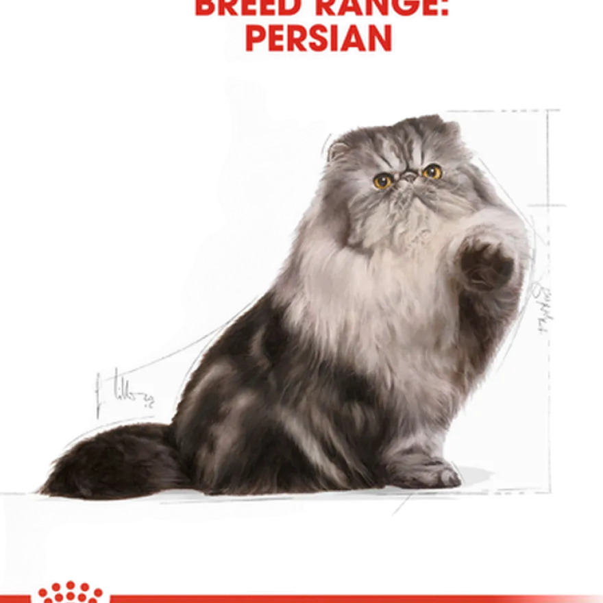 Katterase Perser 10 kg