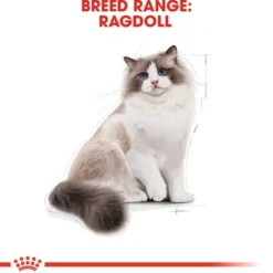 Katterase Ragdoll 2 kg