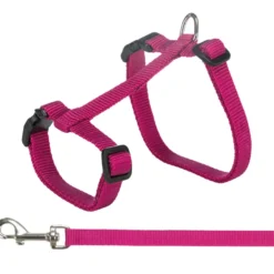 Kattesele+bånd for store katter XL, nylon, Bl-farger. 34-57 cm/13 mm