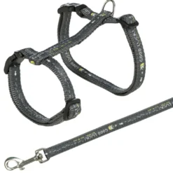 Kattesele+bånd til stor katt XL, justerbar, bl. farger 34-57 cm