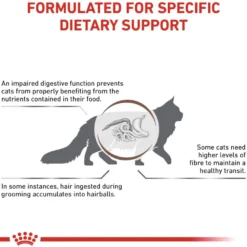 Katt Gastrointestinal hårball 2 kg