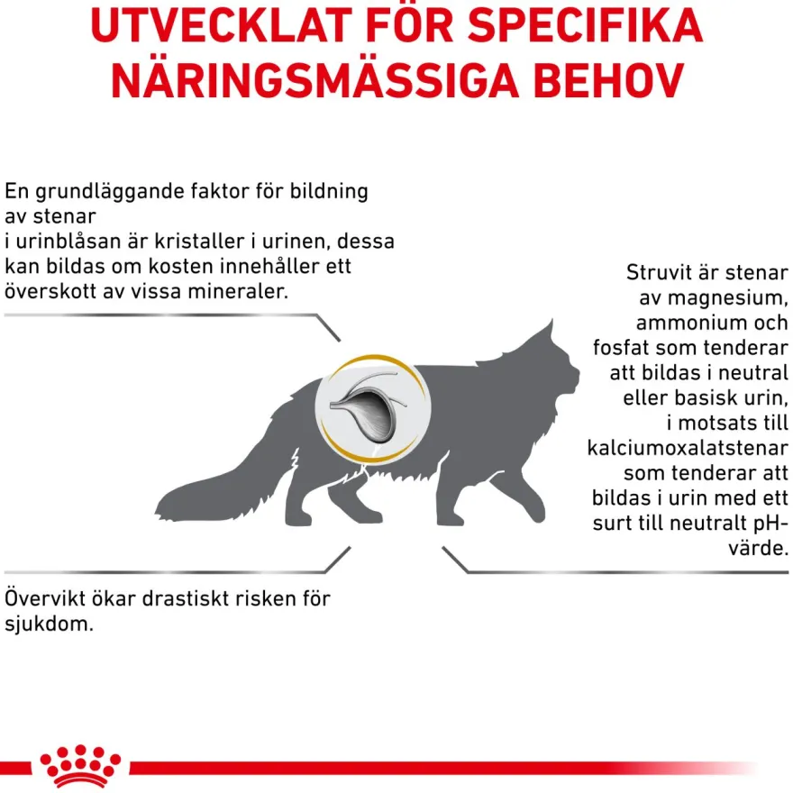 Katt Urin S/O Moderat kalori 7 kg