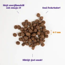 Kitten All Breed kylling 6 kg