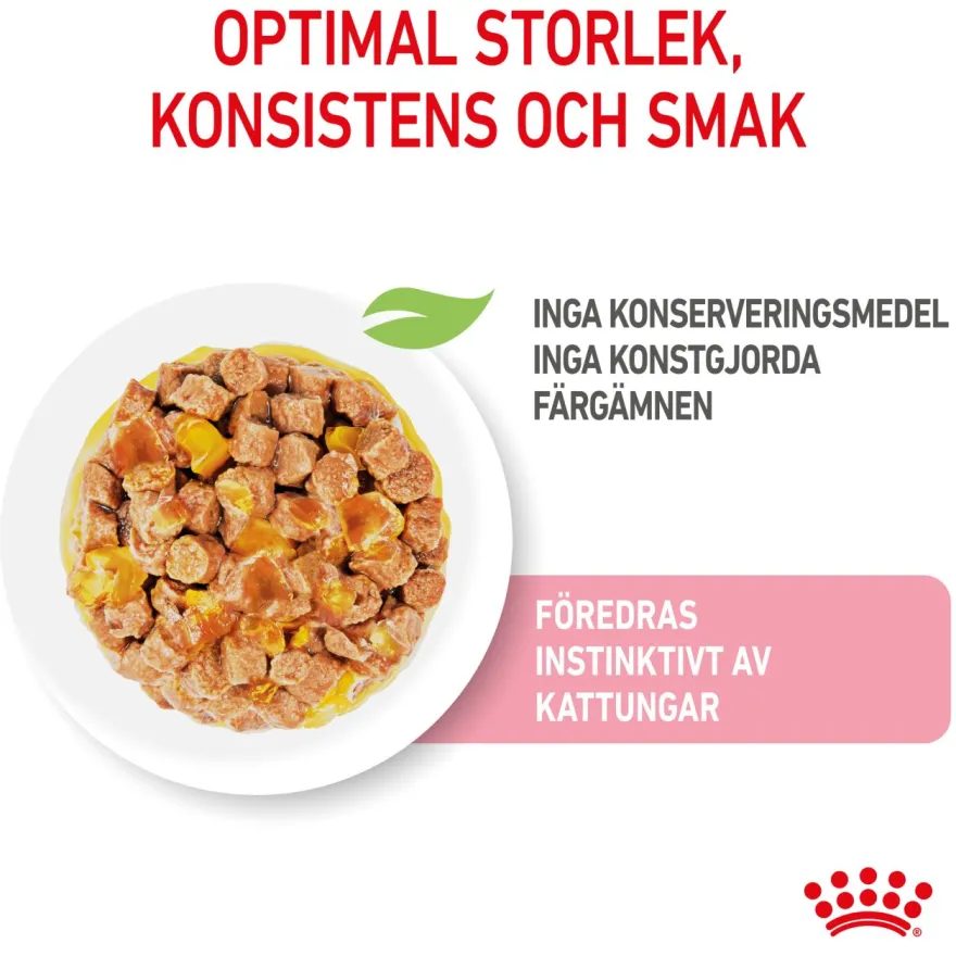 Kitten Sterilised Jelly Våtfôr for kattunger 85 g x 12 stk