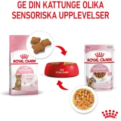 Kitten Sterilised Jelly Våtfôr for kattunger 85 g x 12 stk
