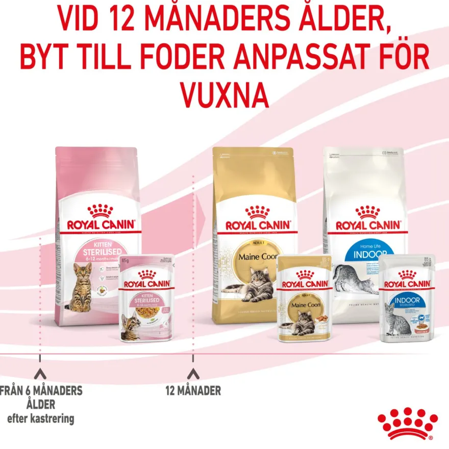 Kitten Sterilised Jelly Våtfôr for kattunger 85 g x 12 stk