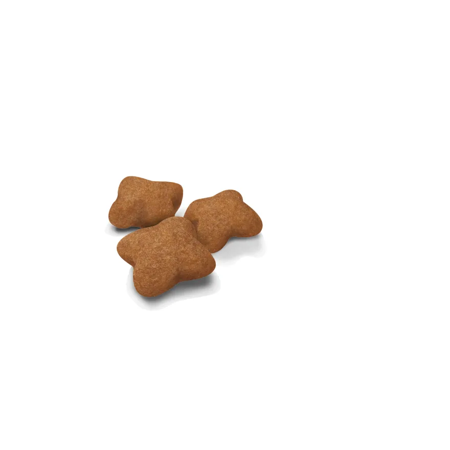 Kitten Sterilised Tørrfôr for kattunger 400 g