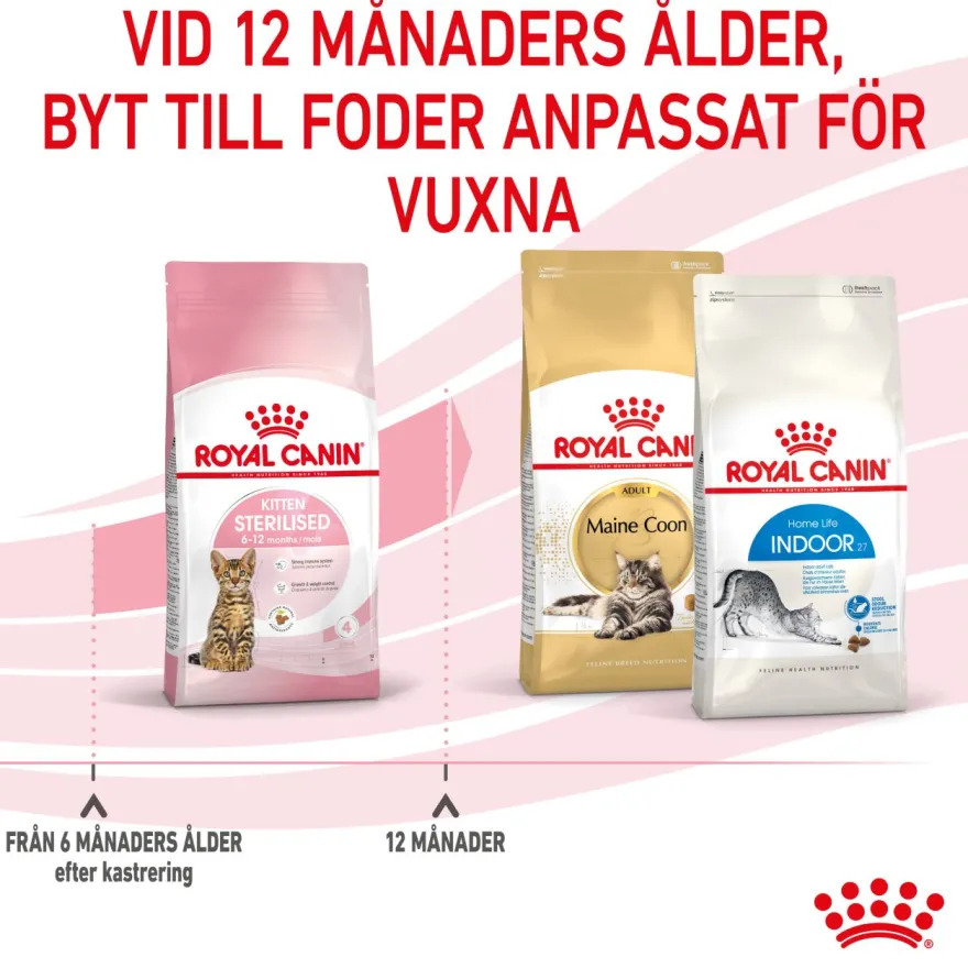 Kitten Sterilised Tørrfôr for kattunger 400 g