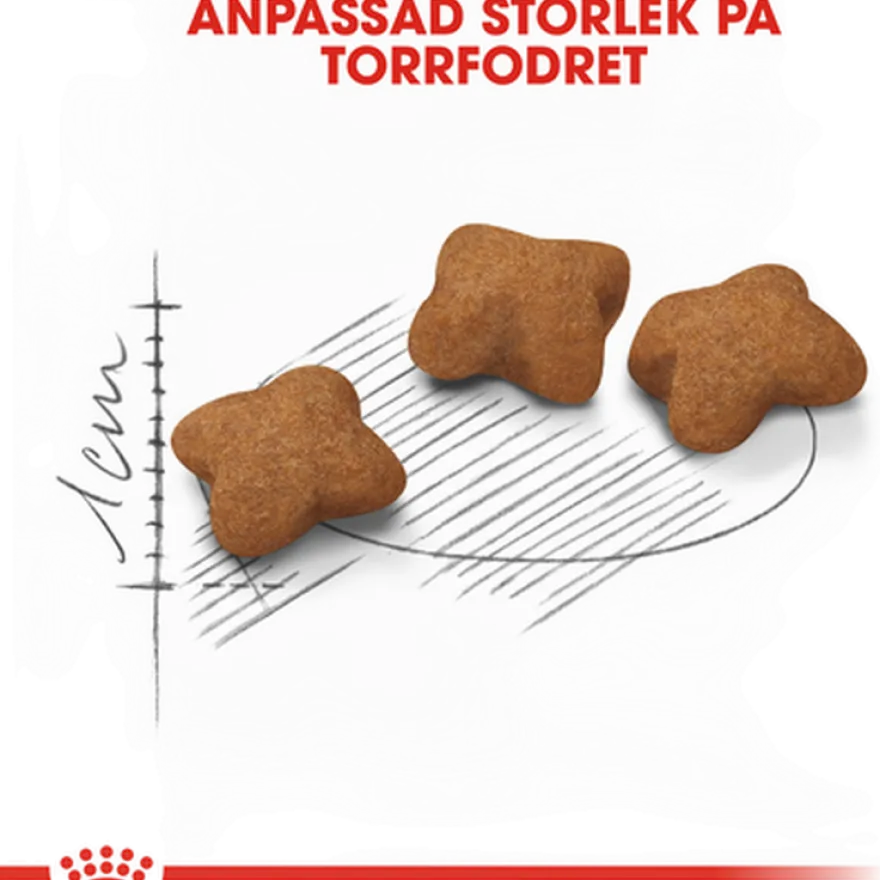 Kitten Sterilised Tørrfôr for kattunger 400 g