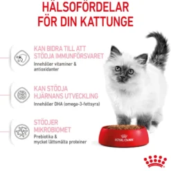 Kitten tørrfôr for kattunger 10 kg