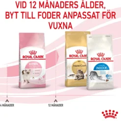 Kitten tørrfôr for kattunger 10 kg