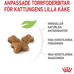 Kitten tørrfôr for kattunger 4 kg