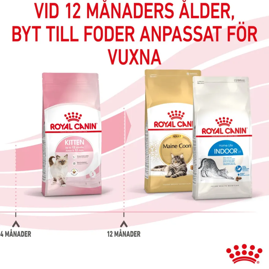Kitten tørrfôr for kattunger 4 kg
