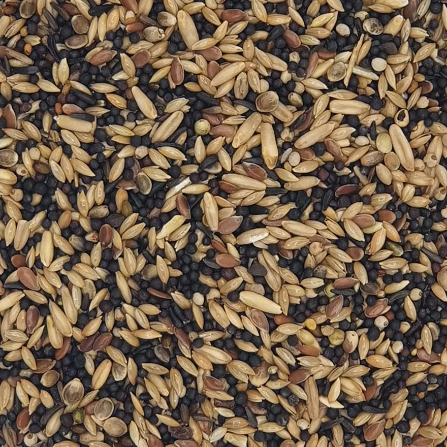 Klassisk kanarifugl 20 kg