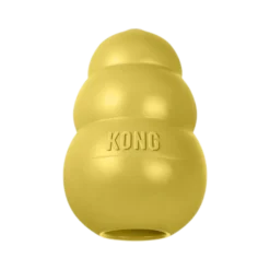 Kong Classic Gold