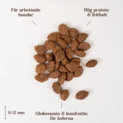 Kylling Active Adult All Breed 2 kg