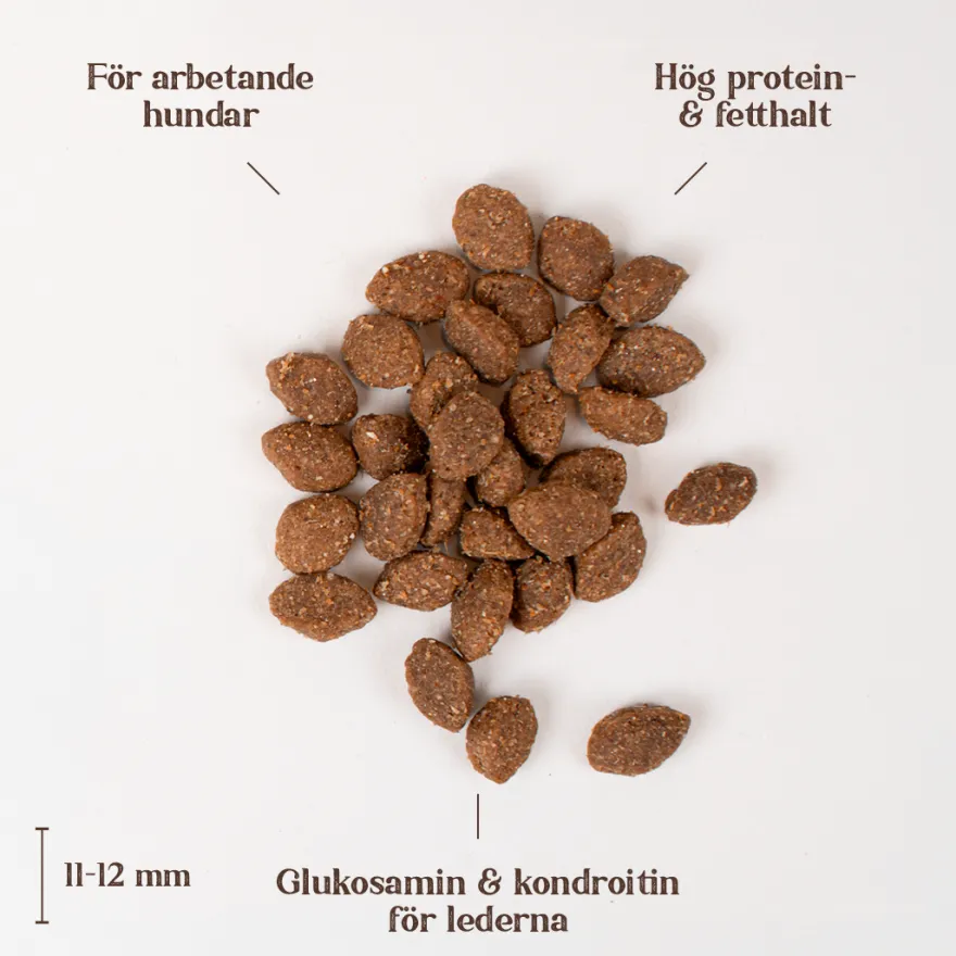 Kylling Active Adult All Breed 2 kg