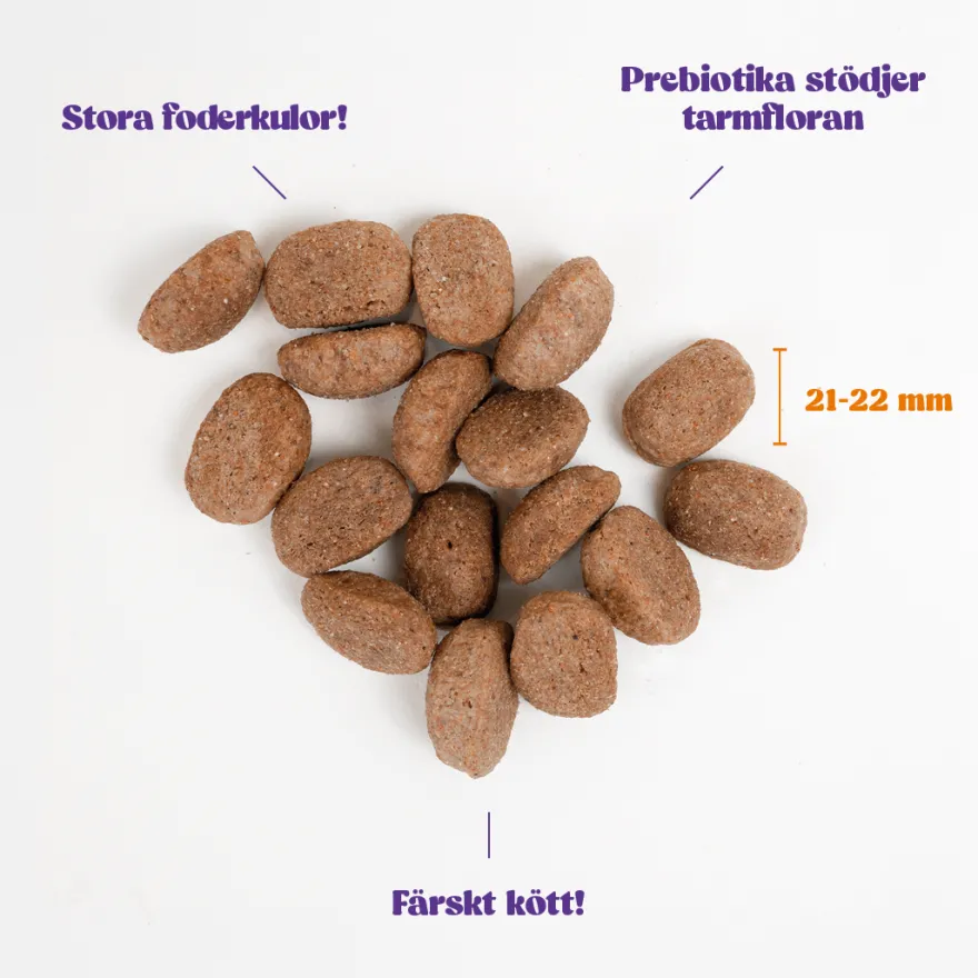 Kylling til hund av stor rase 12 kg