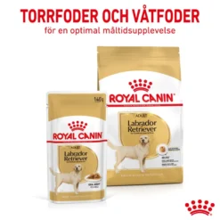 Labrador Retriever Adult Gravy 10 x 140 g