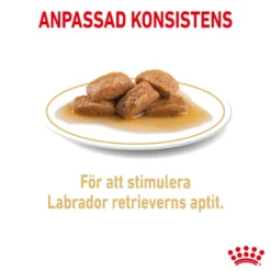 Labrador Retriever Adult Gravy 10 x 140 g