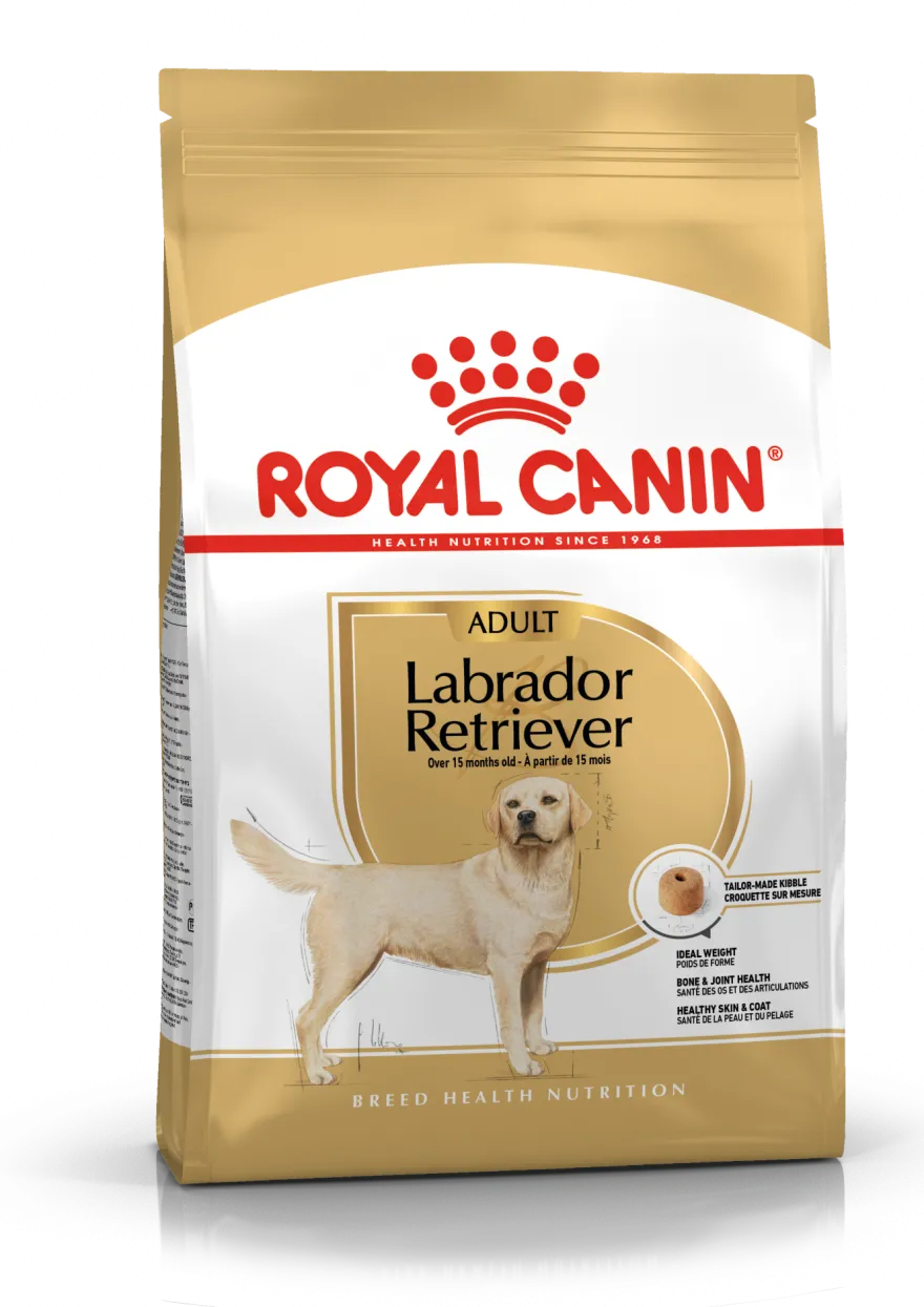 Labrador Retriever Adult tørrfôr for hunder 12 kg
