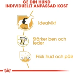Labrador Retriever Adult tørrfôr for hunder 12 kg
