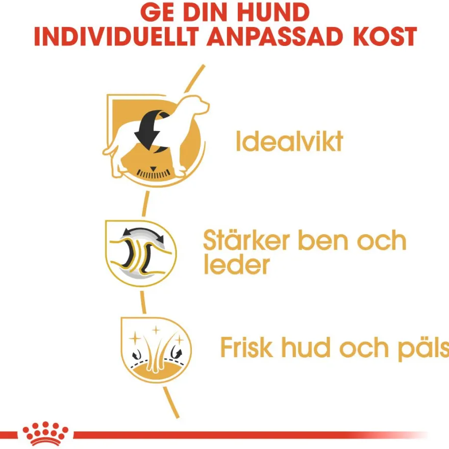 Labrador Retriever Adult tørrfôr for hunder 12 kg