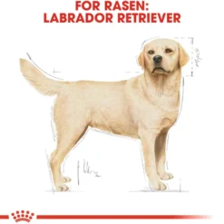 Labrador Retriever Adult tørrfôr for hunder 12 kg