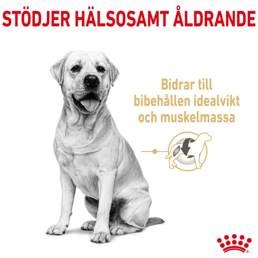Labrador Retriever Adult 5+ Tørrfôr for hunder 12 kg