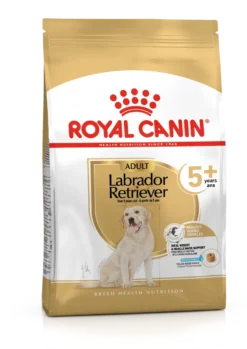 Labrador Retriever Adult 5+ Tørrfôr for hunder 12 kg