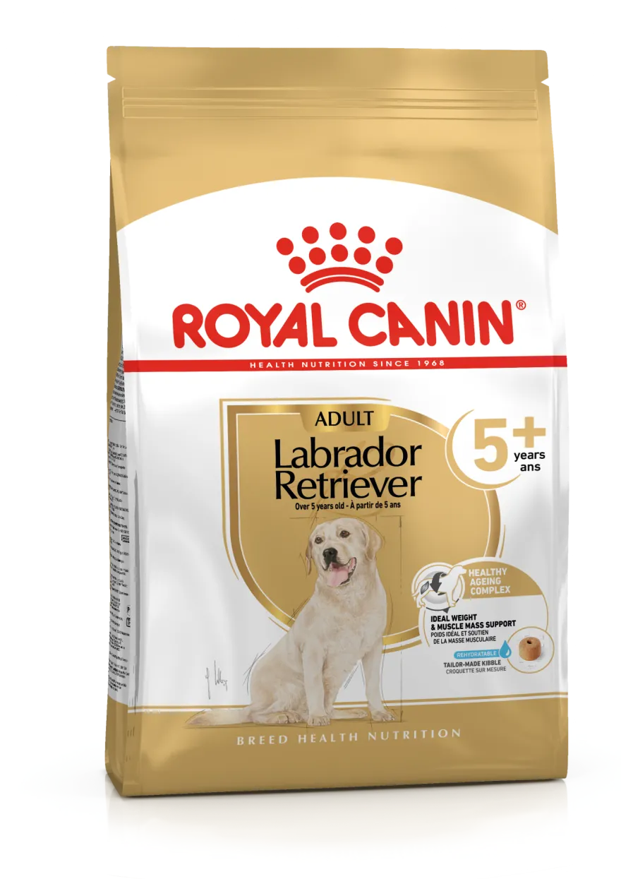 Labrador Retriever Adult 5+ Tørrfôr for hunder 12 kg