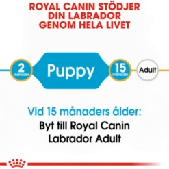 Labrador retriever valp tørrfôr for valp 12 kg