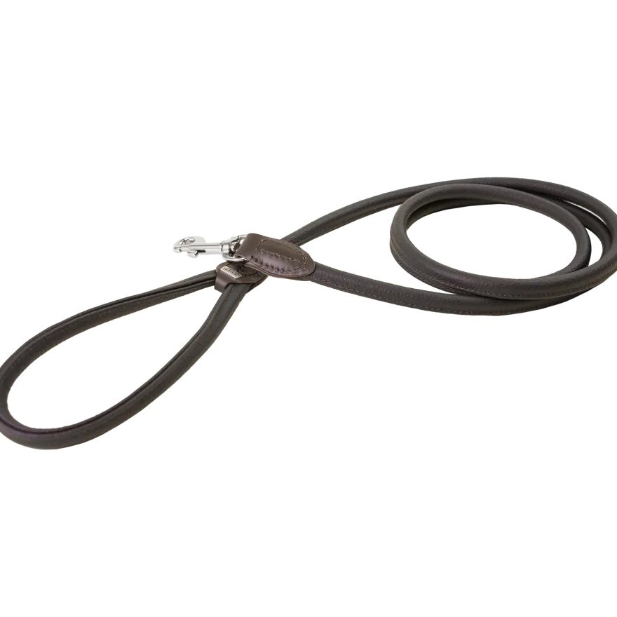 Leash R&S 8/180 Brown