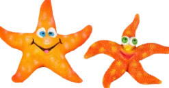 Leto Orange Starfish 8 x 7 x 2 cm, Blandede dekorasjoner