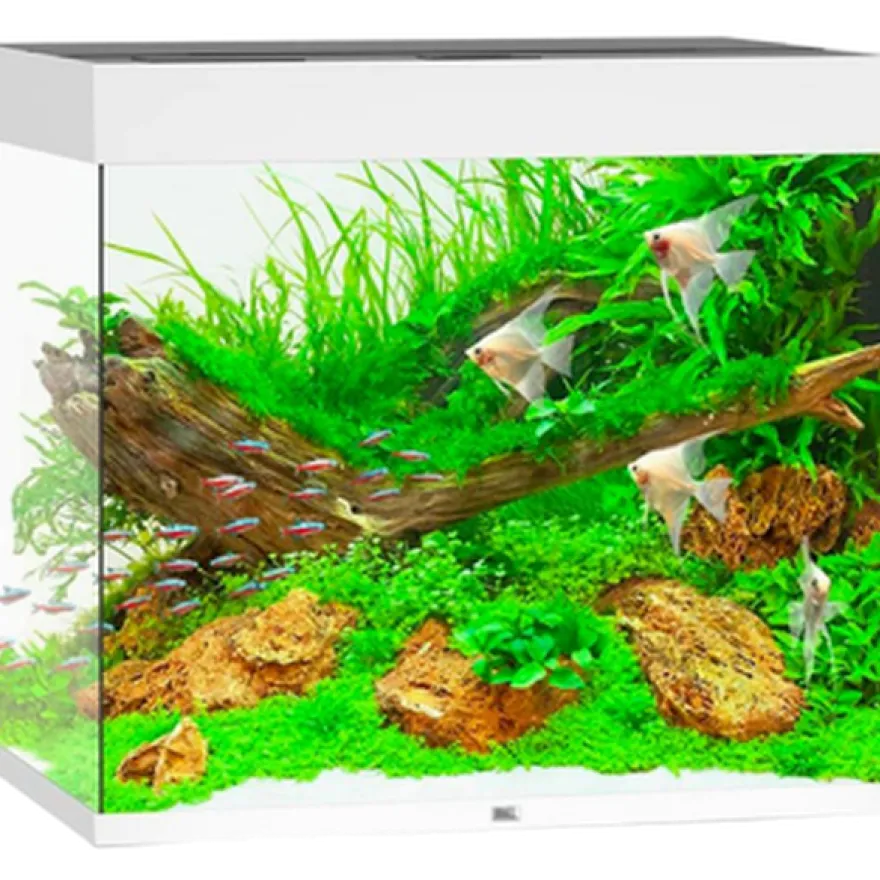 Lido LED-akvarium hvit 120 L
