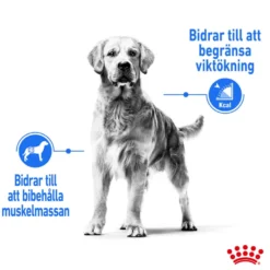 Light weight Care Adult Medium tørrfôr for hunder 12 kg