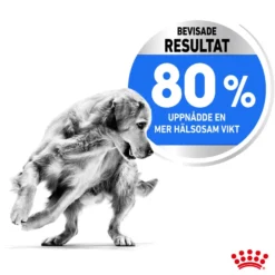 Light weight Care Adult Medium tørrfôr for hunder 12 kg