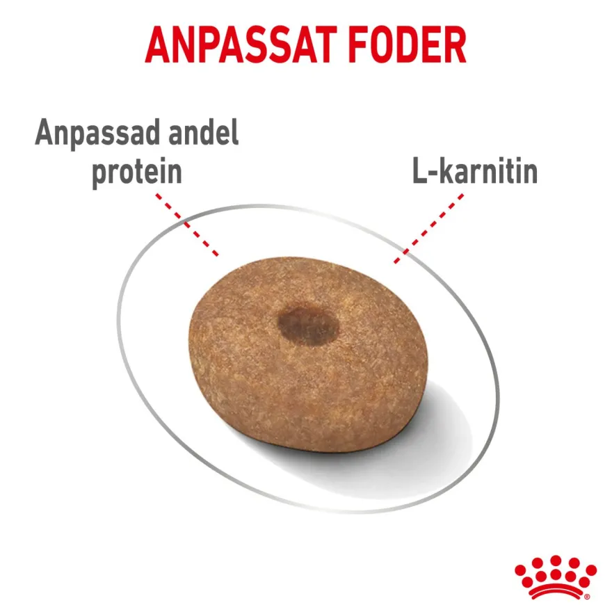 Light weight Care Adult Mini tørrfôr for hunder 8 kg