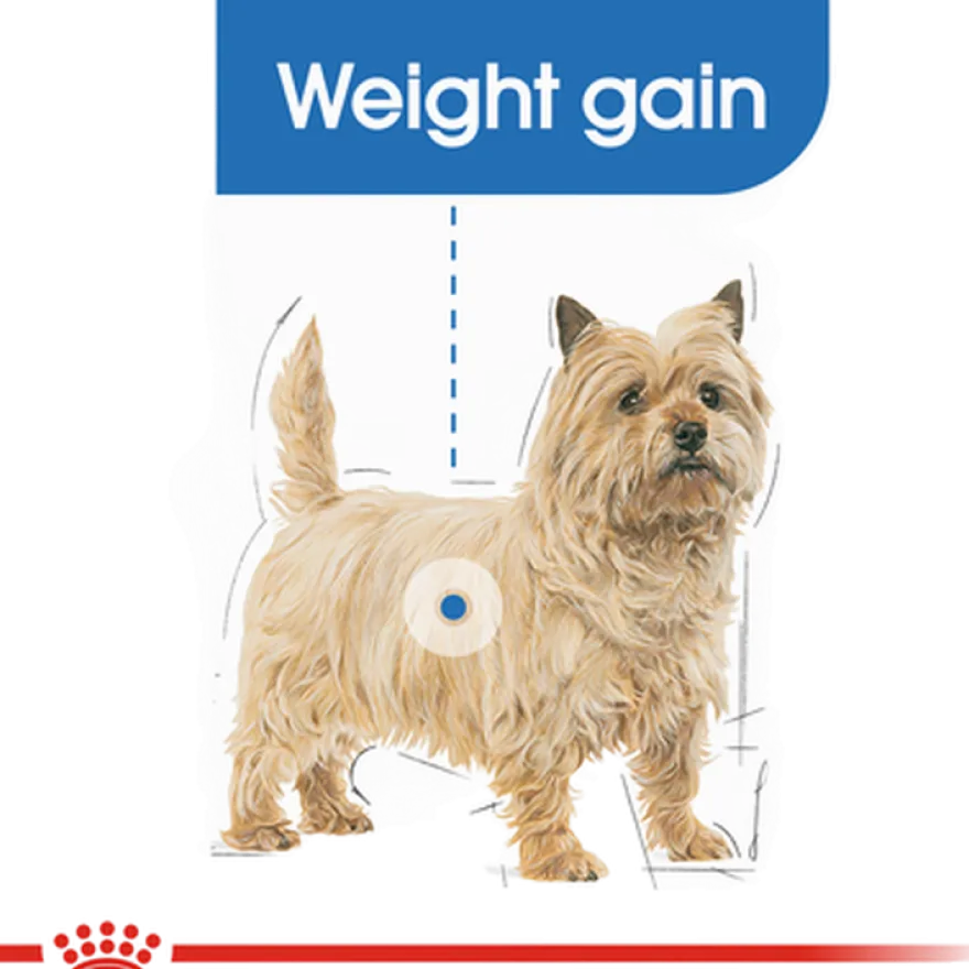 Light weight Care Adult Mini tørrfôr for hunder 8 kg