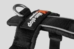 Line Harness 5.0 Purple No 7