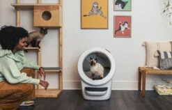 Litter-Robot 4 Selvrensende kattebakke, hvit