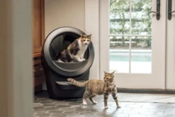 Litter-Robot 4 Selvrensende søppelkasse, svart