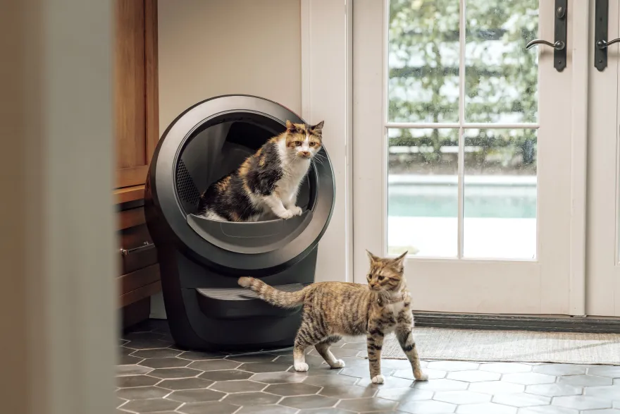 Litter-Robot 4 Selvrensende søppelkasse, svart