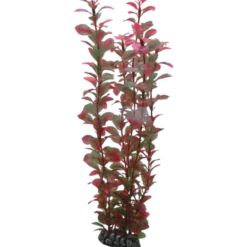 Ludwiga Red 34 cm