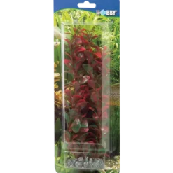 Ludwiga Red 34 cm