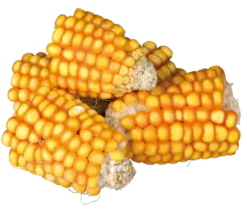 Maiskolber i biter, 300 g