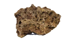 Maple Stone 20~30Cm